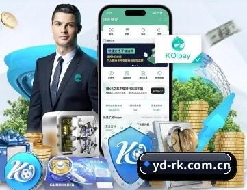 云鼎入口 APP 深度功能