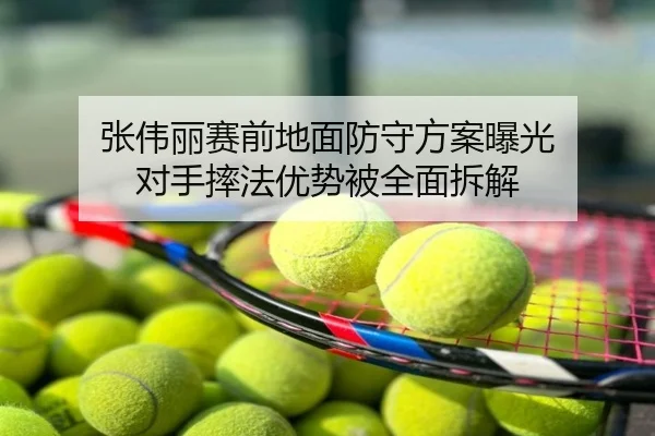 张伟丽赛前地面防守方案曝光 对手摔法优势被全面拆解
