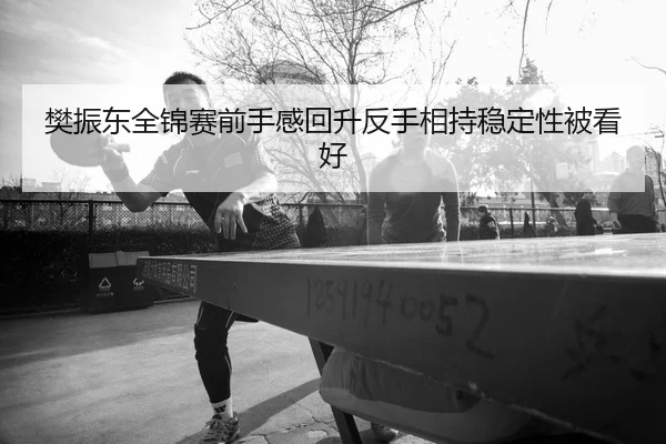 樊振东全锦赛前手感回升反手相持稳定性被看好